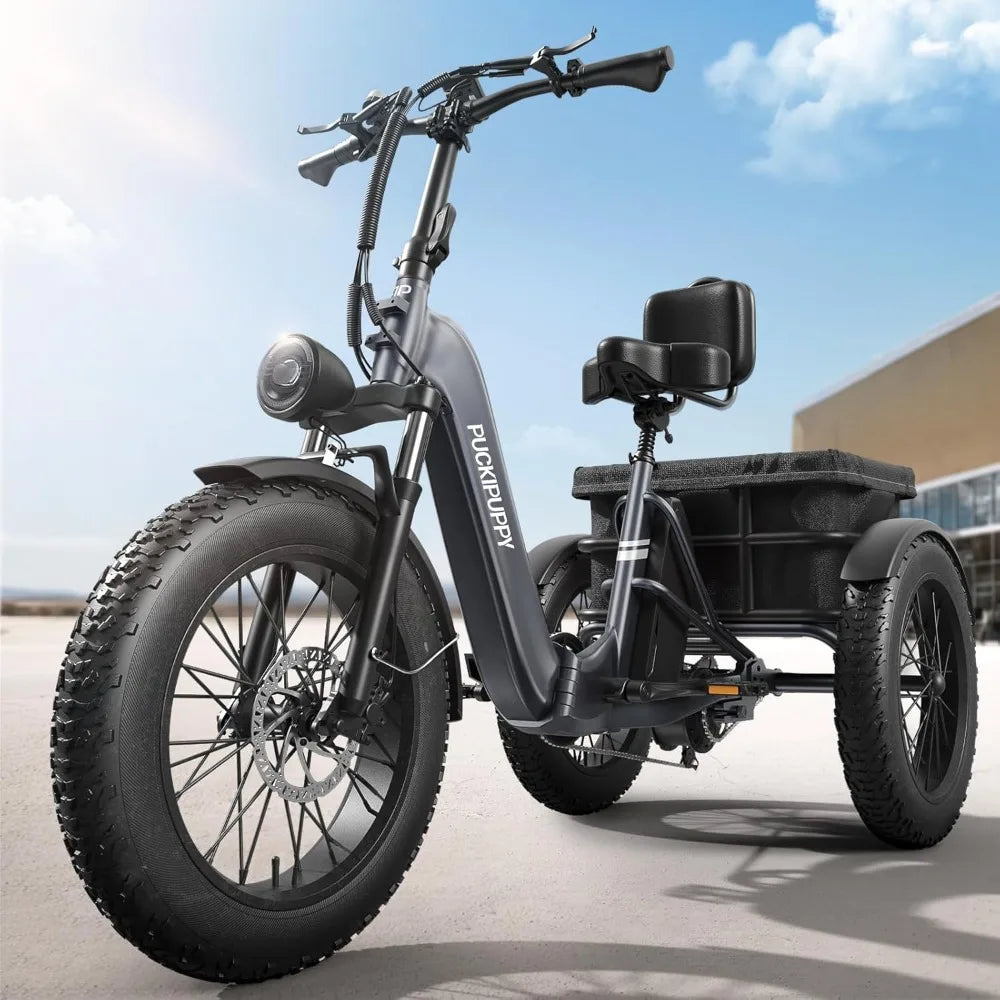 Electric Trike, with 750W Motor,48V 18AH Battery Power